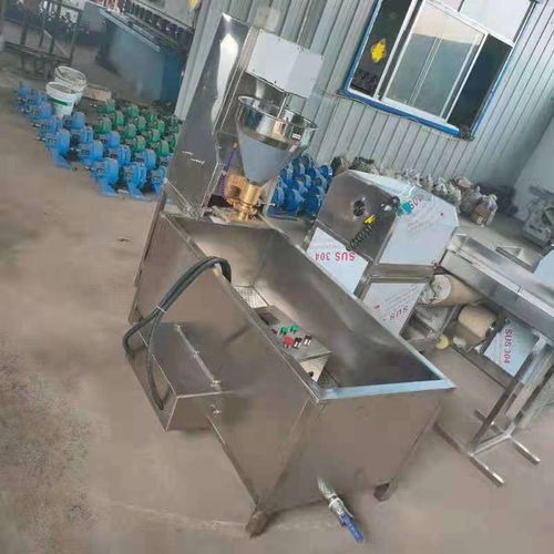 自動(dòng)包心肉丸機(jī)魚丸機(jī)生產(chǎn)包餡豬肉丸貢丸魚丸丸子機(jī)